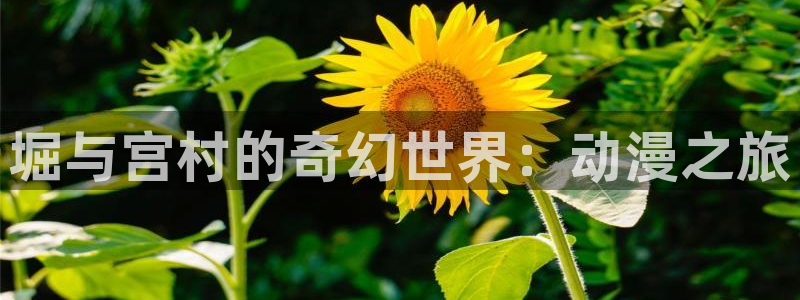 我是大仙尊奇漫屋：堀与宫村的奇幻世界：动漫之旅