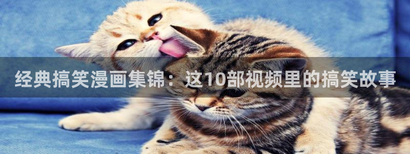 我男票是锦衣卫漫画下拉式奇漫屋：经典搞笑漫画集锦：这10部视频里的搞笑故事
