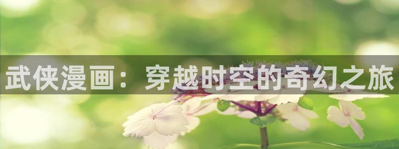 奇漫屋魔咒：武侠漫画：穿越时空的奇幻之旅